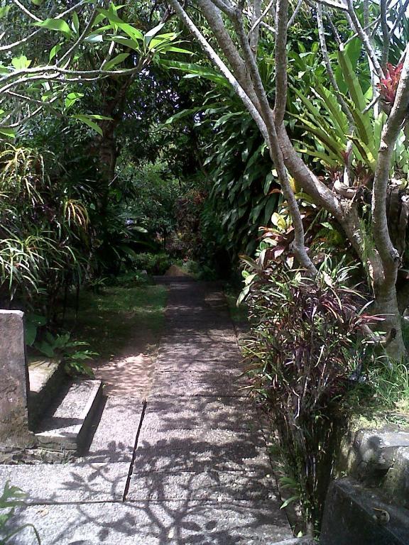 Arjana Bungalows 2 Ubud  Ngoại thất bức ảnh