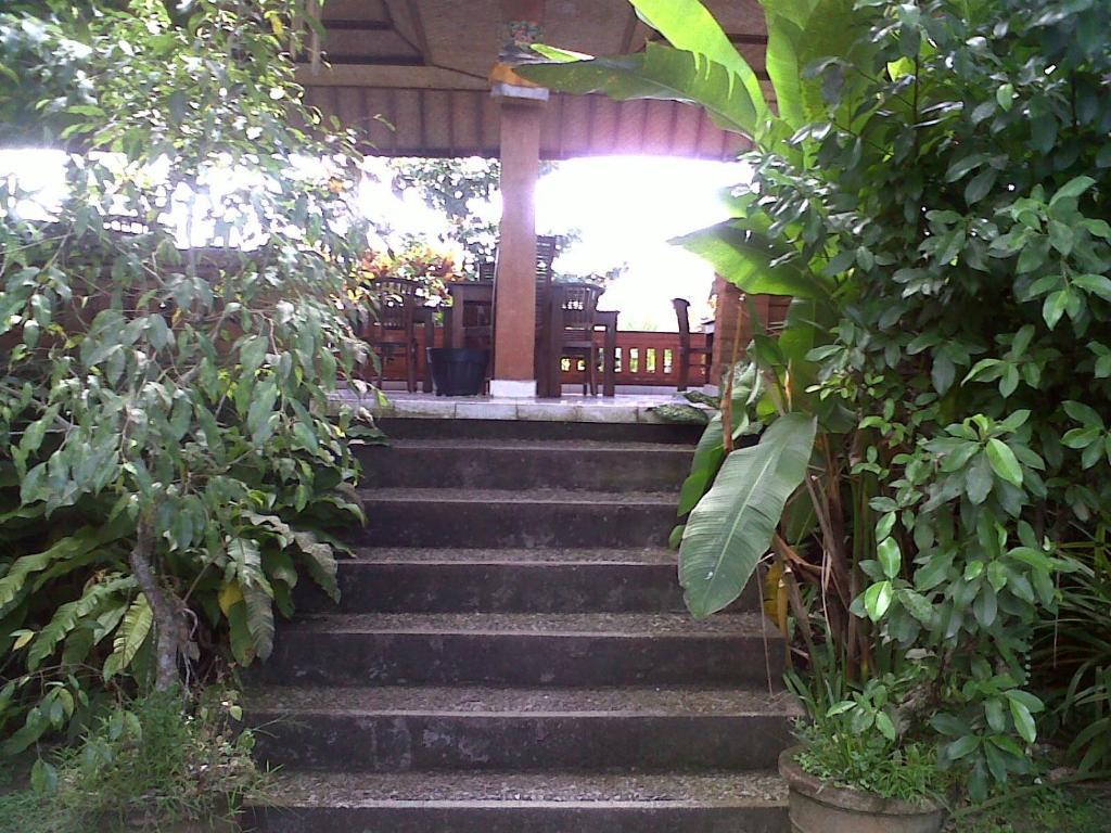 Arjana Bungalows 2 Ubud  Ngoại thất bức ảnh